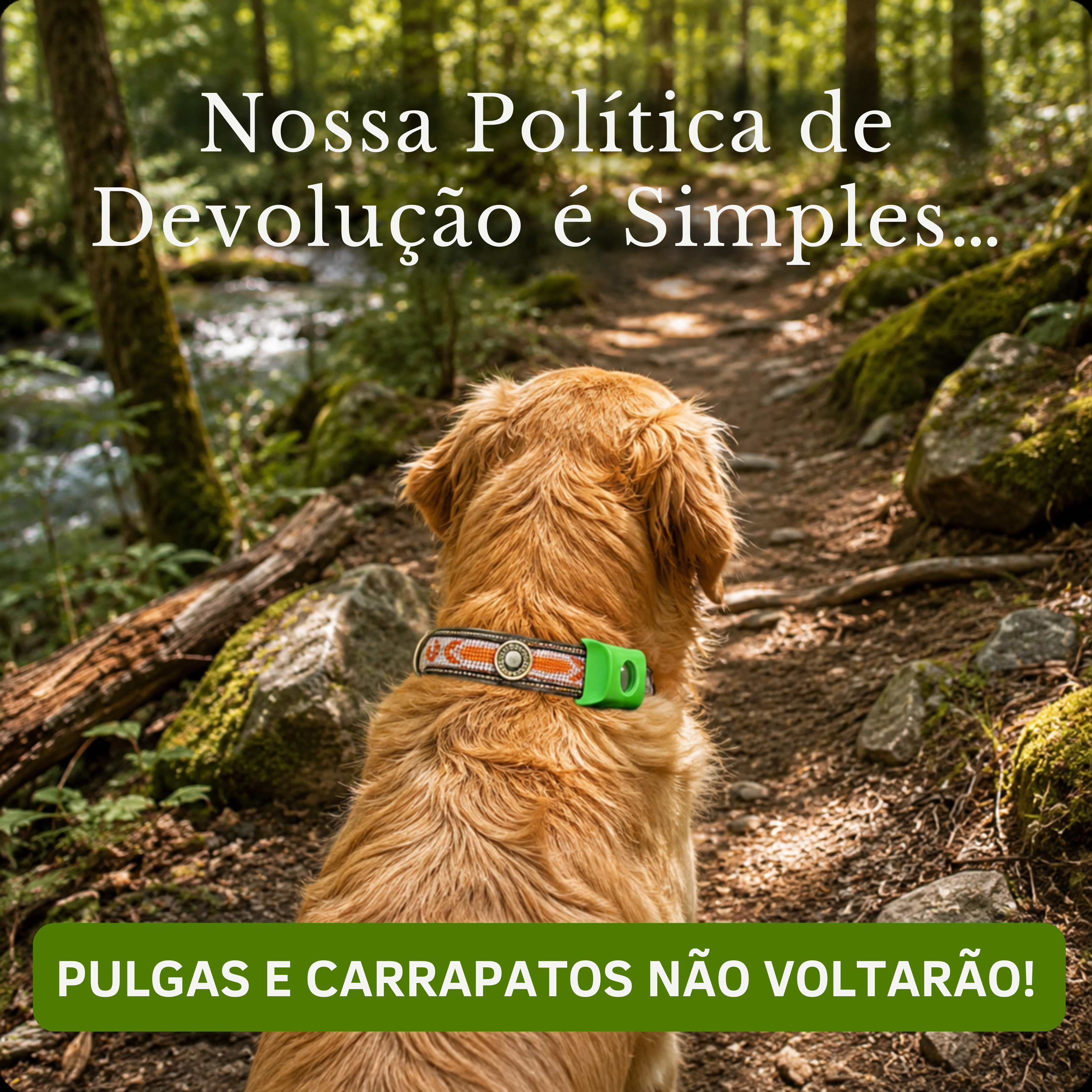 WooofPals™ Pingente Antipulgas e Carrapatos — 12 Meses de Proteção